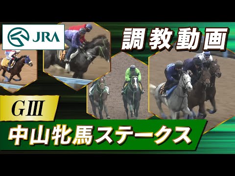 【調教動画】2024年 中山牝馬ステークス｜JRA公式