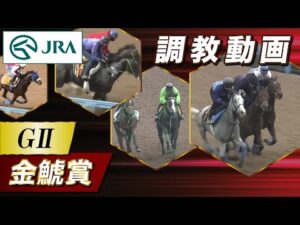 【調教動画】2024年 金鯱賞｜JRA公式