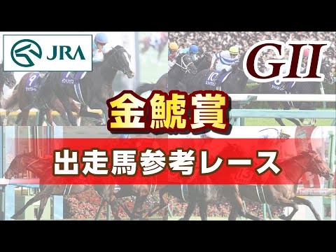 【参考レース】2024年 金鯱賞｜JRA公式