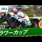 2020年 フラワーカップ(GⅢ) | アブレイズ | JRA公式