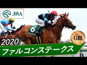 2020年 ファルコンステークス（GⅢ） | シャインガーネット | JRA公式