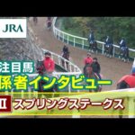 【注目馬 関係者インタビュー】2024年 スプリングステークス|JRA公式