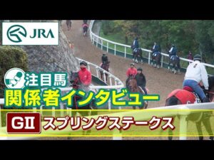 【注目馬 関係者インタビュー】2024年 スプリングステークス｜JRA公式