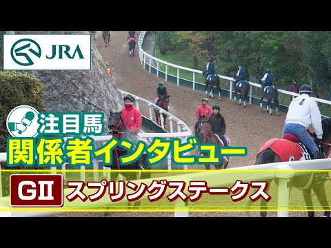 【注目馬 関係者インタビュー】2024年 スプリングステークス｜JRA公式