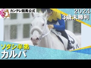 【ソダシの半弟、白毛のカルパが初勝利】2024年3月17日(日) ３歳未勝利　実況：石田一洋【カンテレ公式】