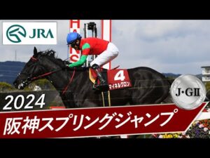 2024年 阪神スプリングジャンプ（J・GⅡ） | マイネルグロン | JRA公式