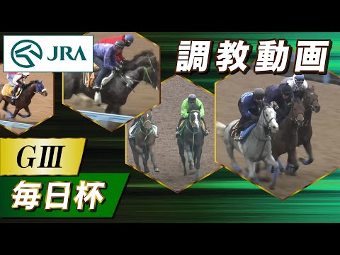 【調教動画】2024年 毎日杯｜JRA公式