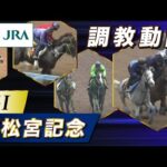【調教動画】2024年 高松宮記念|JRA公式