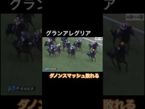 【激戦】グランアレグリアとの一戦！