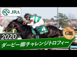 2020年 ダービー卿チャレンジトロフィー（GⅢ） | クルーガー | JRA公式