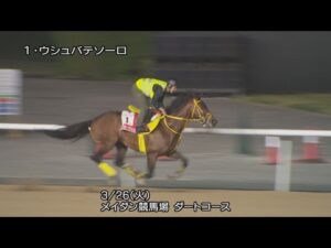 【2024ドバイワールドカップ】ウシュバテソーロなどJRA所属馬3頭の調教動画（3月26日（火曜）・（3月27日（水曜）） | JRA公式