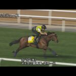 【2024ドバイターフ】ドウデュースなどJRA所属馬4頭の調教動画(3月27日(水曜)) | JRA公式