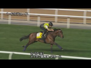 【2024ドバイターフ】ドウデュースなどJRA所属馬4頭の調教動画（3月27日（水曜）） | JRA公式