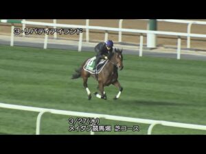 【2024ドバイシーマクラシック】リバティアイランドなどJRA所属馬4頭の調教動画（3月26日（火曜）・3月27日（水曜）） | JRA公式