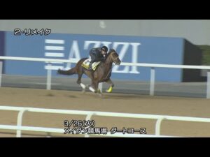 【2024ドバイゴールデンシャヒーン】リメイクなどJRA所属馬3頭の調教動画（3月26日（火曜）・3月27日（水曜）） | JRA公式