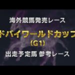 【参考レース】2024年 ドバイワールドカップ|JRA公式
