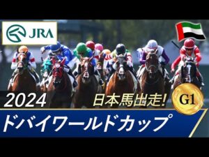 2024年 ドバイワールドカップ（G1） | 第28回 | JRA公式