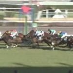 【競馬】中山牝馬Sは岩田望騎乗のコンクシェルが逃げ切りV
