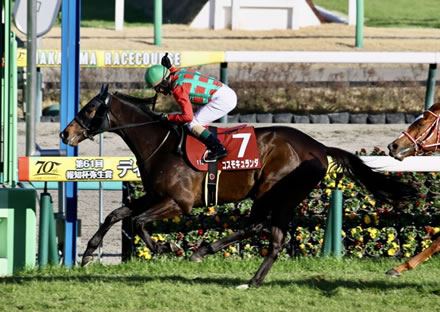 コスモキュランダ 新馬戦12頭立て12着←これ何なの？