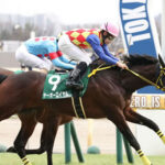 【競馬予想】[2]第72回阪神大賞典(GII) /2024