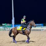 【競馬】ドウデュース 馬体がまたマッチョに