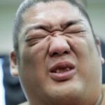 尊富士の新入幕初優勝って競馬に例えるとどれくらいの快挙なの?