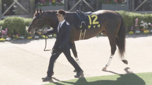 【競馬予想】第56回ダービー卿チャレンジトロフィー(GⅢ) /2024