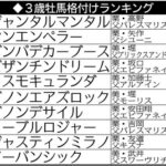 3歳牡馬格付けランキング2024