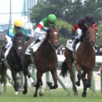タスティエーラほど地味で人気のないダービー馬って過去にいたか?