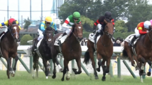 タスティエーラほど地味で人気のないダービー馬って過去にいたか？