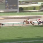 【スプリングステークス2024】結果・動画/シックスペンスが人気に応え圧勝