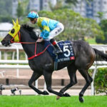 【高松宮記念】香港G1馬ビクターザウィナー想定オッズ77.5倍www