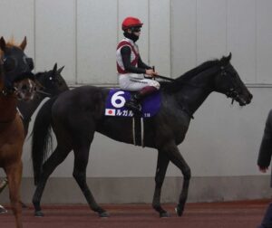 【高松宮記念】ルガル大惨敗で競馬予想TV全滅ワロタｗｗｗ