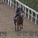 【フィリーズレビュー2024】追い切り/動きからレースを紐解く