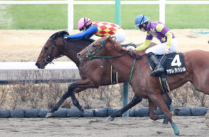 【伏竜S】逃走Ｖのテーオーパスワードはケンタッキーダービーも視野