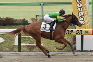 【UAEダービー】ジョージテソーロは原優介から川田に乗り替わり