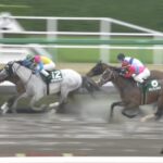 【マーチステークス2024】出走予定馬・騎手/春の嵐が波乱を呼ぶ