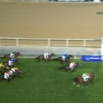 【ドバイターフ2024】結果・動画/ファクトゥールシュヴァルが接戦を制す