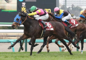 【日経賞】重賞初挑戦シュトルーヴェ(セン5)が差し切りV!11戦目で重賞初制覇