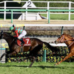 シンエンペラー矢作調教師「馬場が悪くてバランスを崩した。今日は馬場がこたえた」
