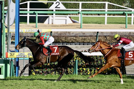 シンエンペラー矢作調教師「馬場が悪くてバランスを崩した。今日は馬場がこたえた」