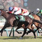 【中山牝馬S】5番人気のコンクシェルが逃げ切りV!重賞初制覇