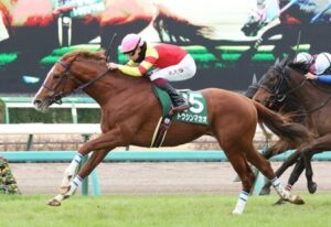 【オーシャンS】トウシンマカオ強すぎてワロタwww