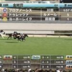 【金鯱賞】ドゥレッツァ、ルメール酷すぎwww