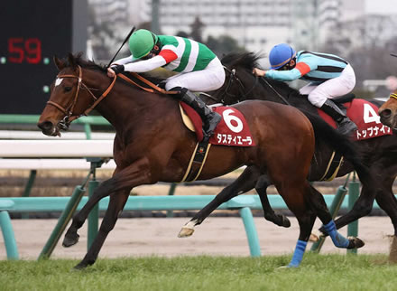 【大阪杯】皐月賞馬、ダービー馬弱すぎワロタw w w w w