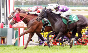 【高松宮記念】阪急杯ハナ差2着アサカラキング除外