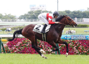 【弥生賞】ダノンエアズロック単に2500万円ぶちこみ！？2番人気に浮上