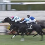 【難波S】1.6倍 グランヴィノス川田負けててワロタ