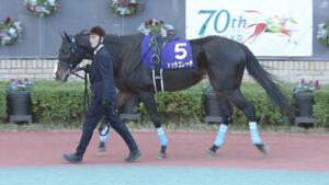 ドゥラエレーデ　ムルザバエフでドバイワールドCへ