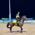 【ドバイターフ】ドウデュース馬体マッチョ化ww